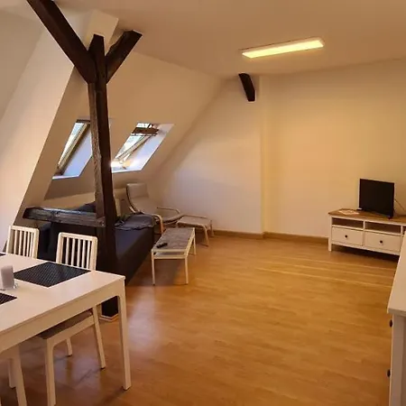 80 Qm Untere Eichstaedtstr- 12min/zentrum Apartment Leipzig